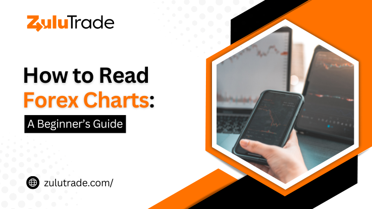 How To Read Forex Charts: A Beginner’s Guide (2023)